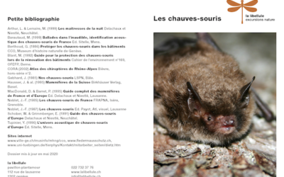 Dossier La Libellule – Les Chauves-souris